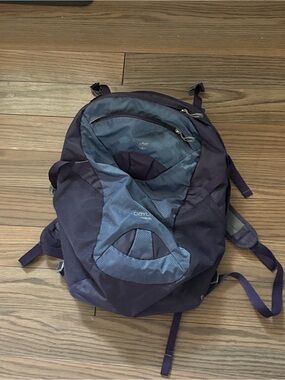OSPREY Men's Backpack in Purple and Slate Blue
